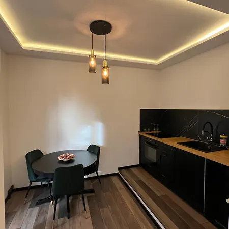 The House Ghica Tei 아파트 부쿠레슈티