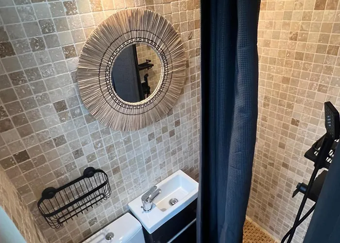 The House Ghica Tei Апартаменты *